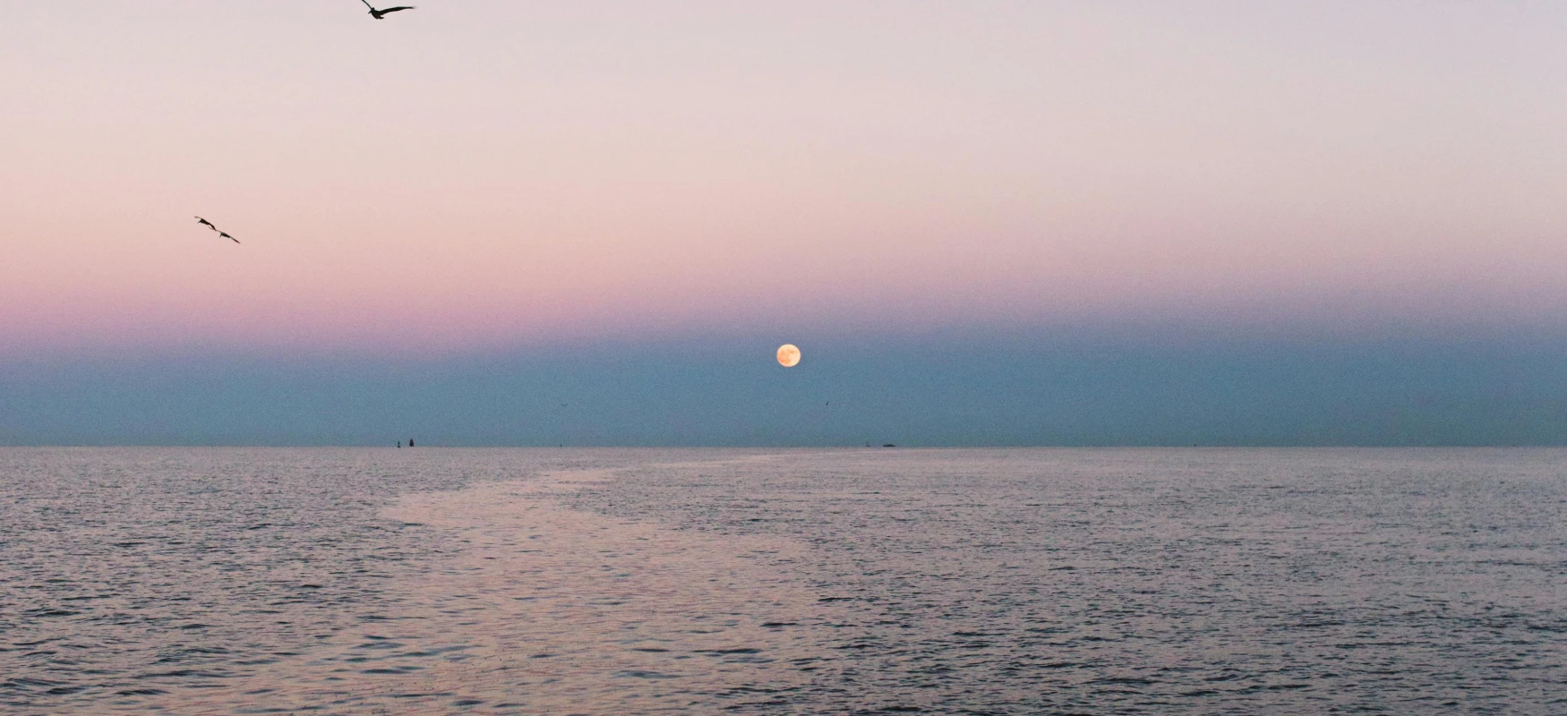 Norfolk Virginia Photo